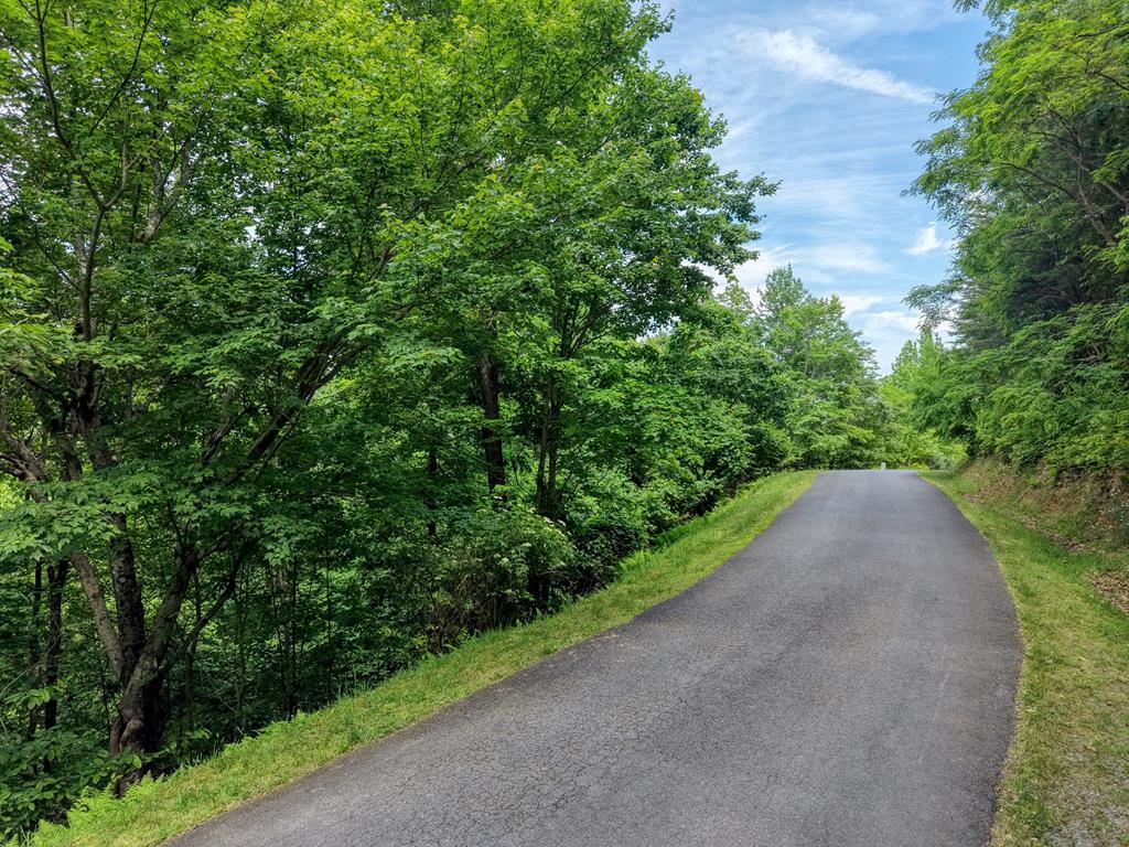 Lot2 Deer Crest Overlook Blue Ridge, GA 30513 - Photo 6 of 12 paved road in front of lot