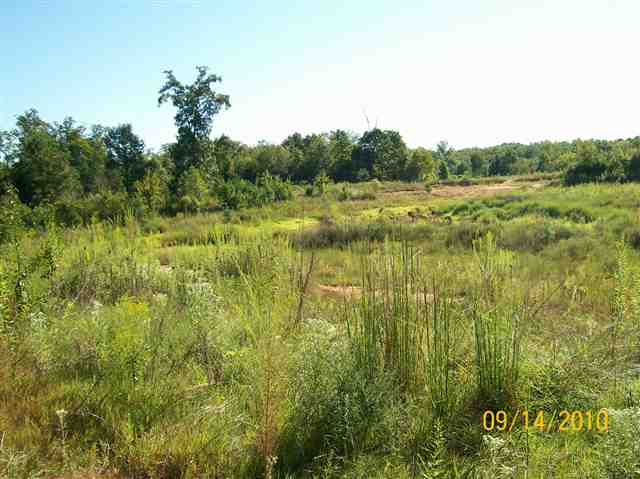 145 Acker Road Belton, SC 29627 - Photo 9 of 16