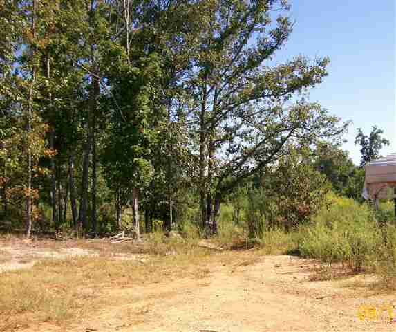 145 Acker Road Belton, SC 29627 - Photo 10 of 16