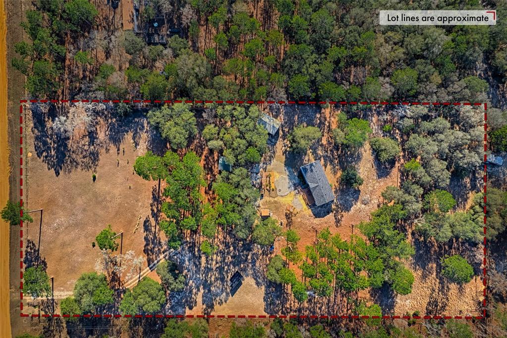 152 Piper Drive Hawthorne, FL 32640 - Photo 40 of 42