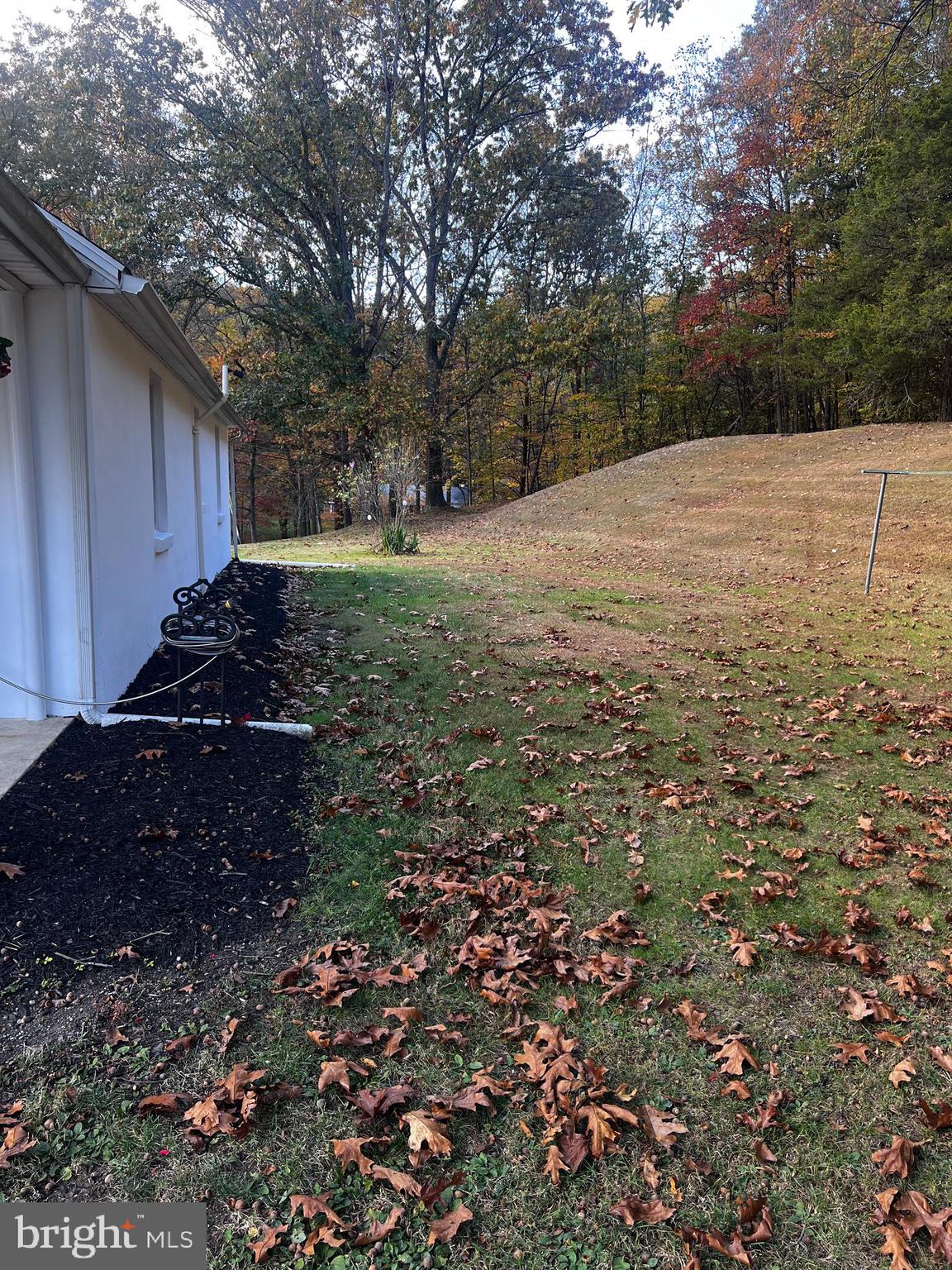 636 Ridgeway Road Birdsboro, PA 19508 - Photo 3 of 14 a backyard of a house with lots of green space