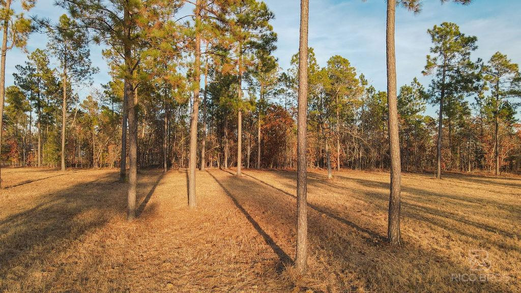 Lot 28 Rembert Place Aiken, SC 29803 - Photo 2 of 18