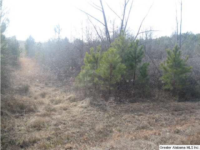 Turkey Ridge, Unit 36 Ragland, AL 35131 - Photo 8 of 13