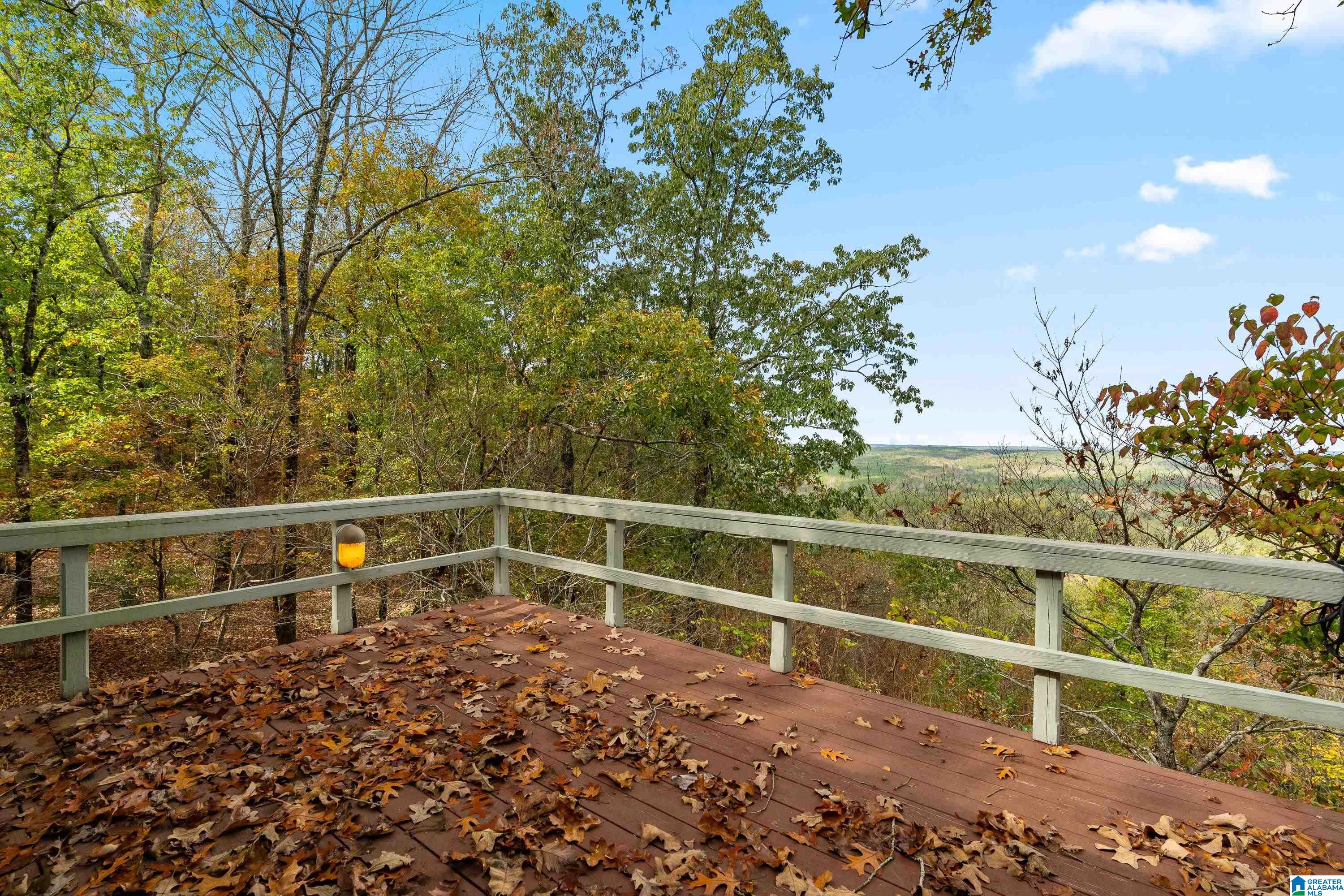 356 Sunset Ridge Bessemer, AL 35022 - Photo 45 of 75