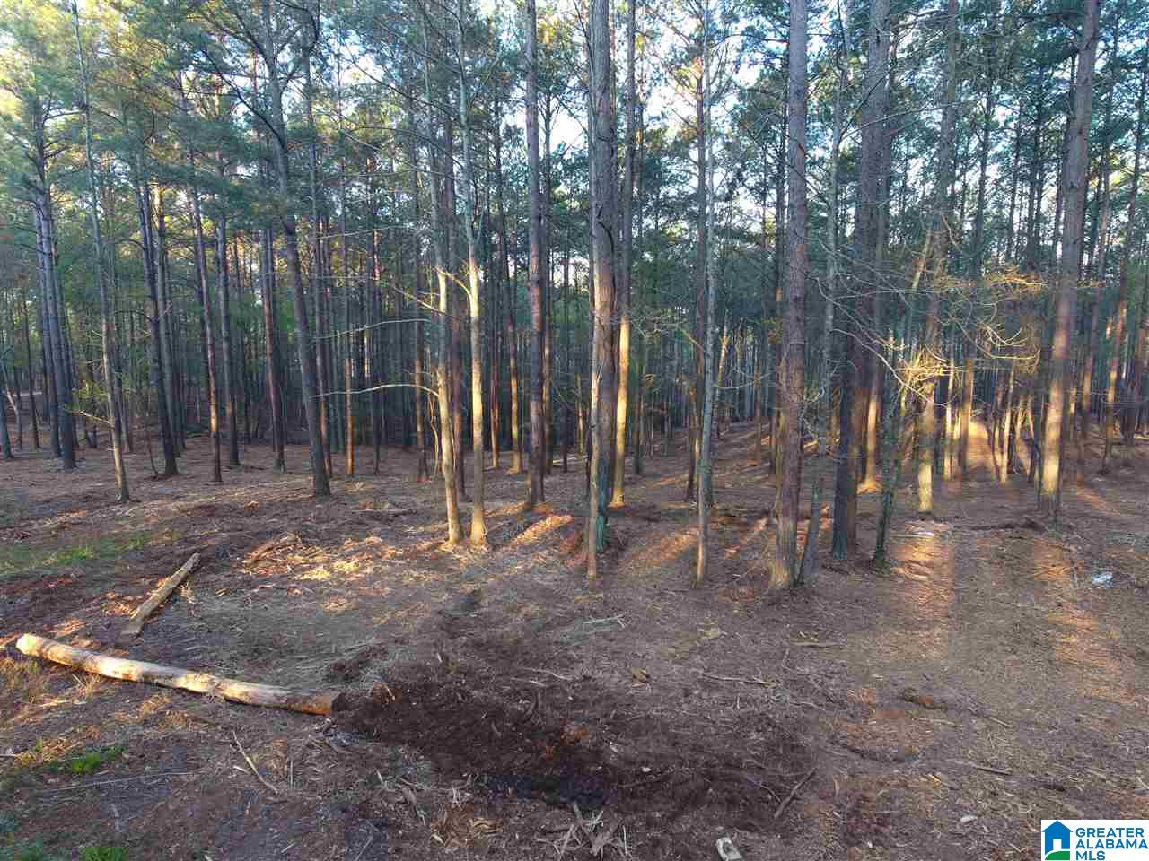 Creek Run Road Wedowee, AL 36278 - Photo 3 of 6