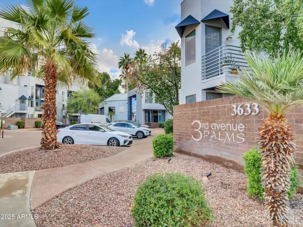 a view of a street with potted plants and palm trees