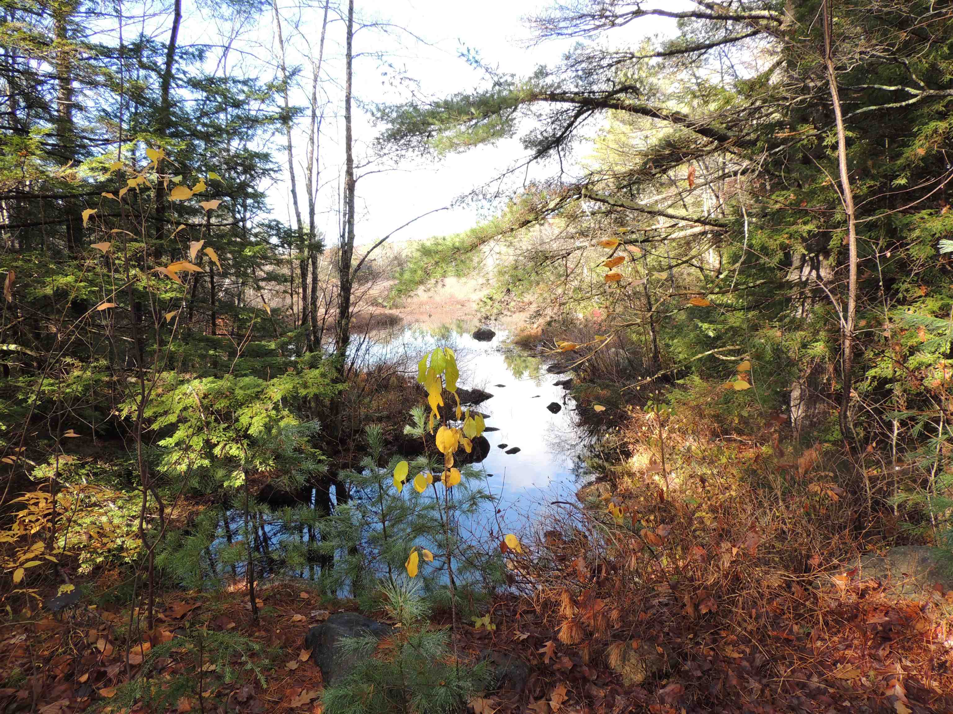 140 Chickville Road Ossipee, NH 03864 - Photo 2 of 11