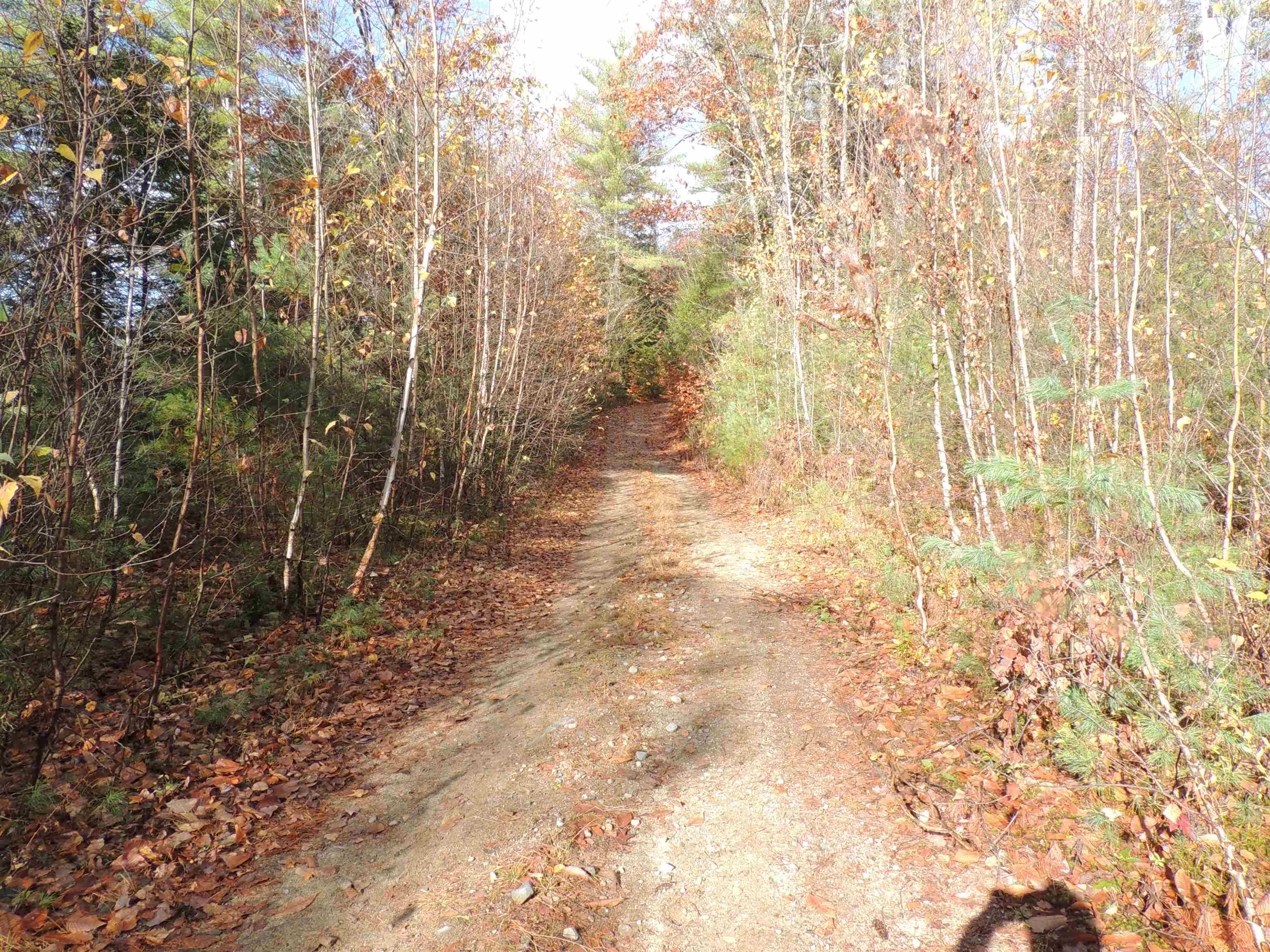 140 Chickville Road Ossipee, NH 03864 - Photo 4 of 11