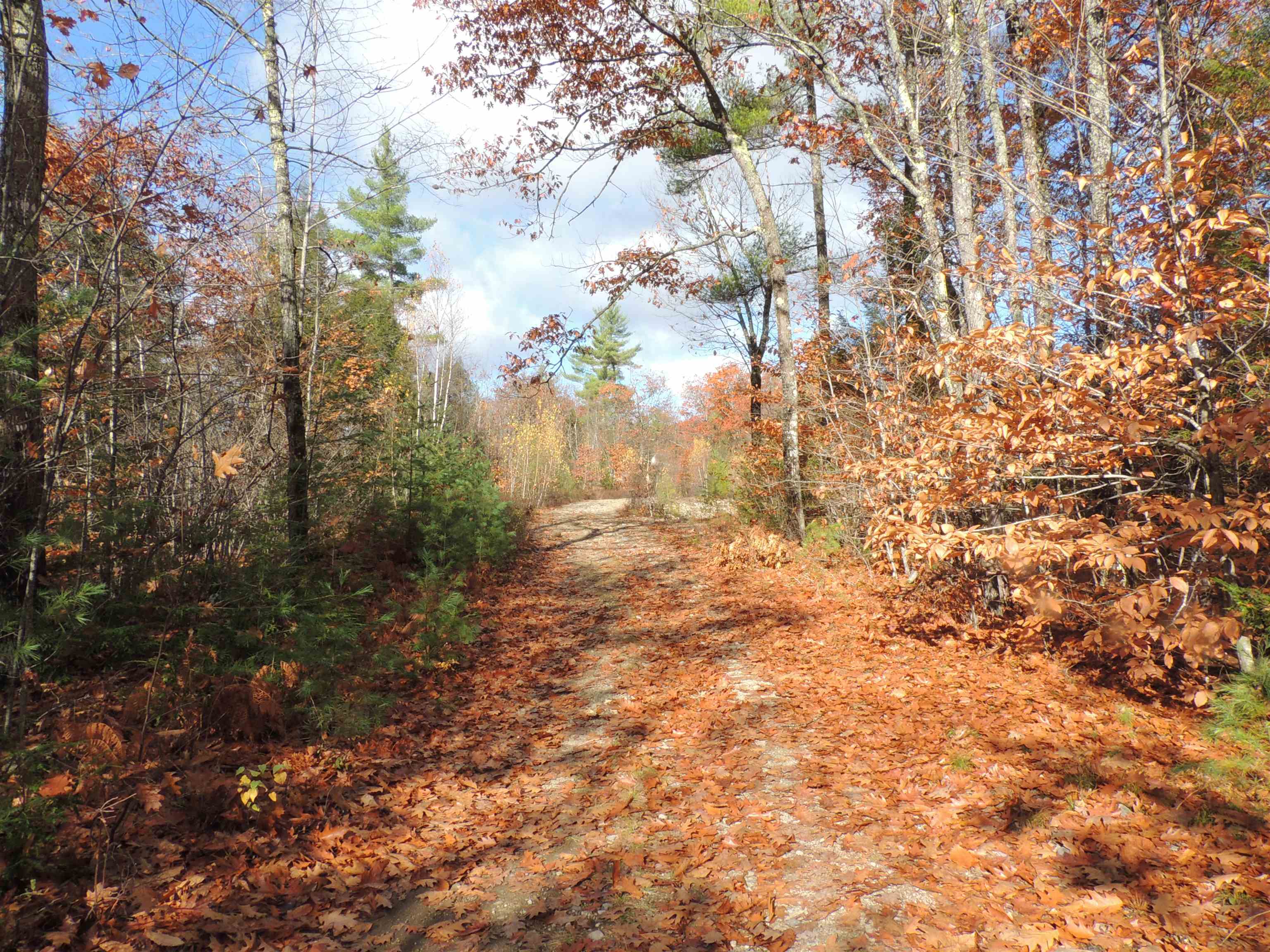 140 Chickville Road Ossipee, NH 03864 - Photo 5 of 11