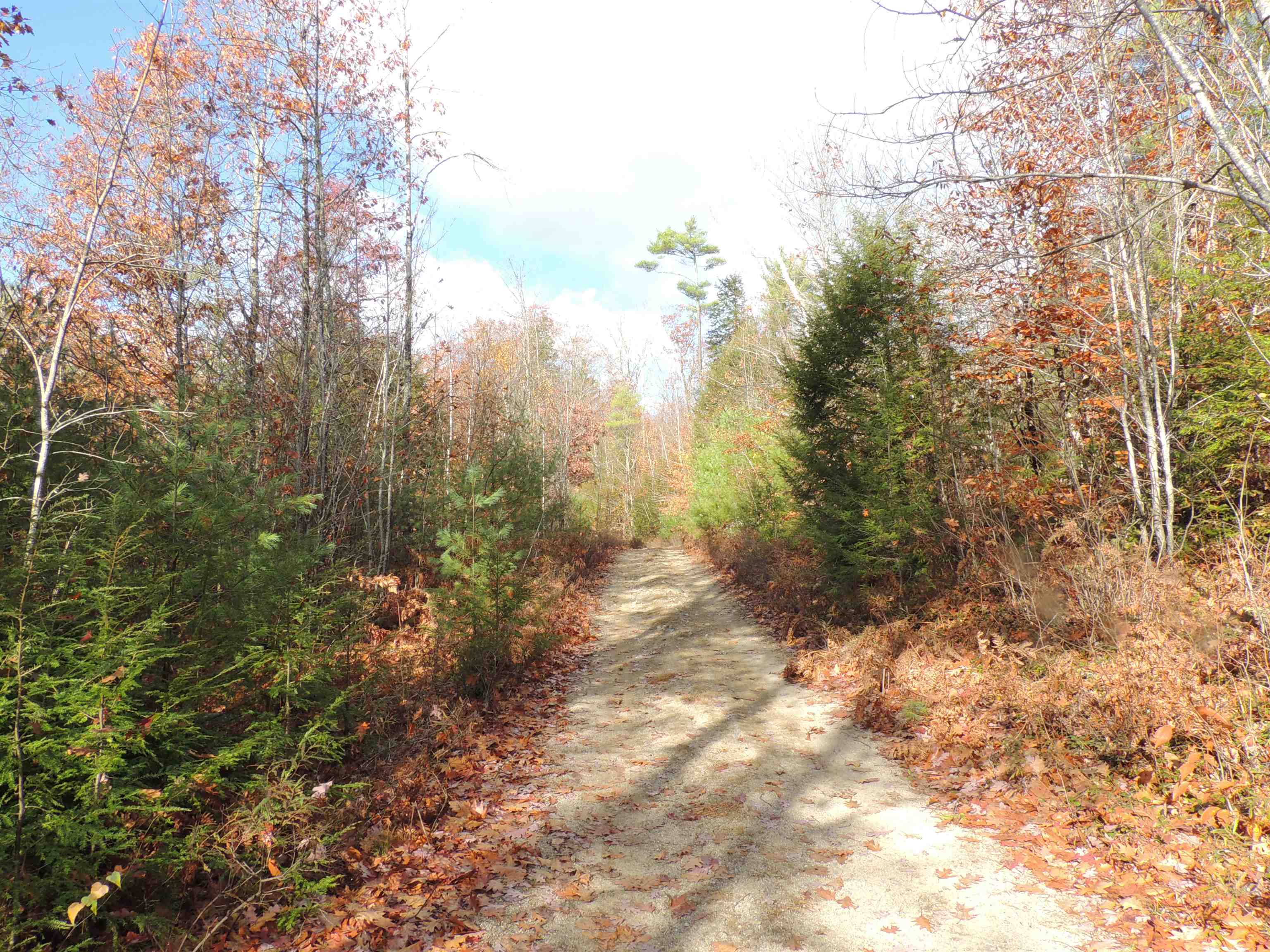 140 Chickville Road Ossipee, NH 03864 - Photo 7 of 11