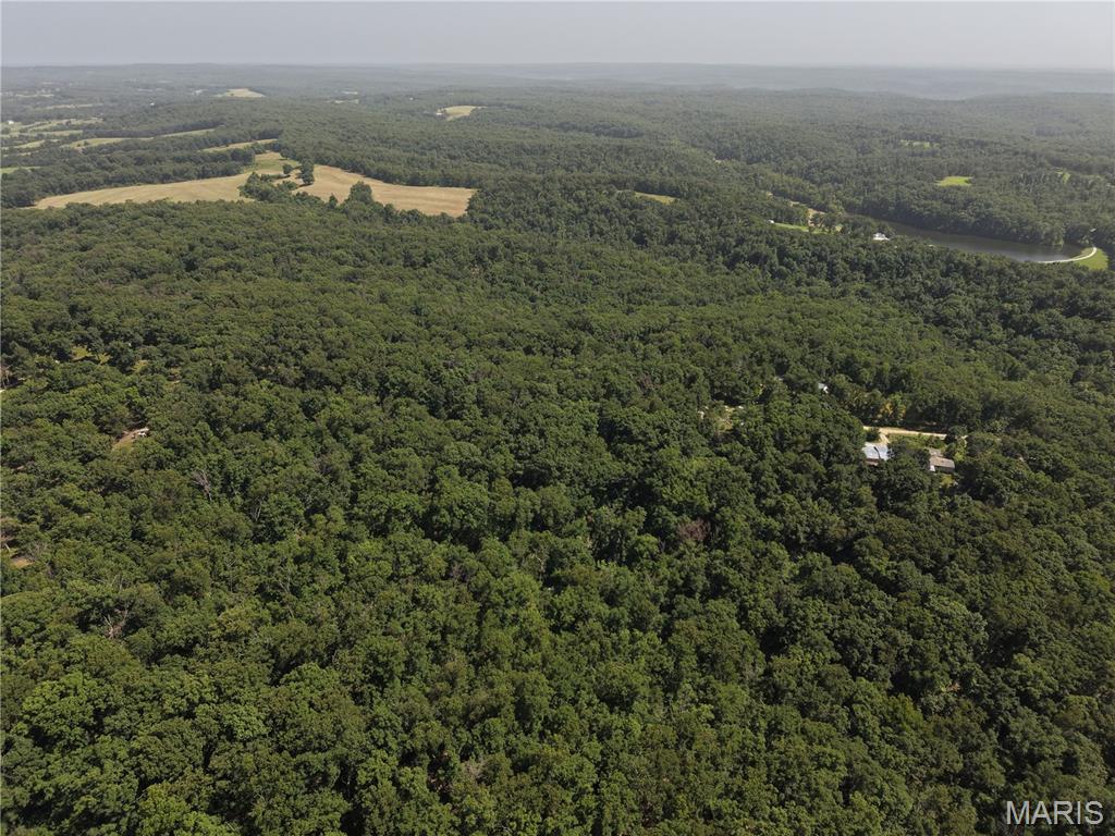 0 Gibson Road Lonedell, MO 63060 - Photo 23 of 28