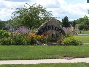 a view of a garden with large trees