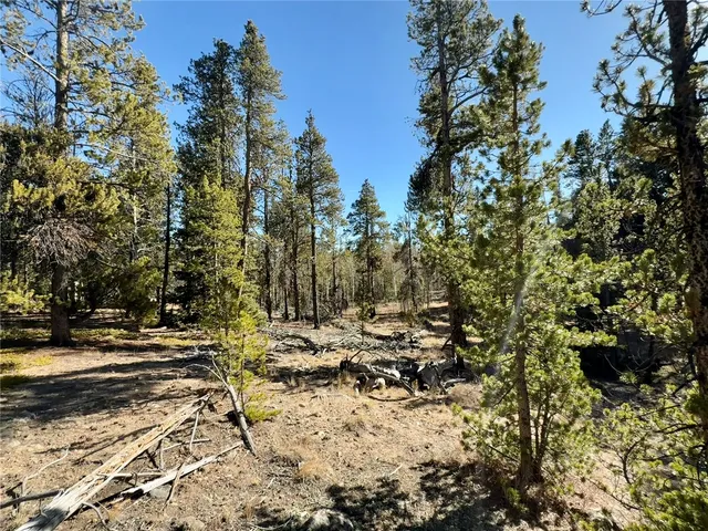 $120,000 | 235 Willow Lane, Alma, CO 80420