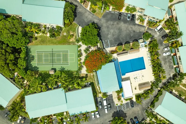 a view of a yard with plants and a bench under an umbrella