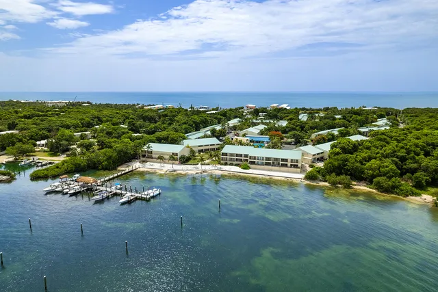 a view of a garden with an ocean