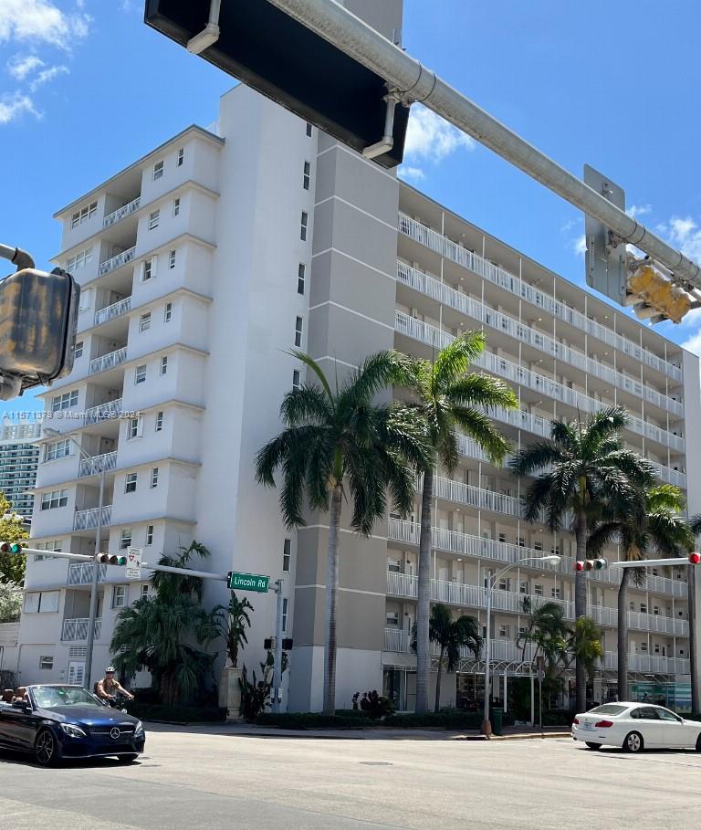 a palm tree sitting in front of a building