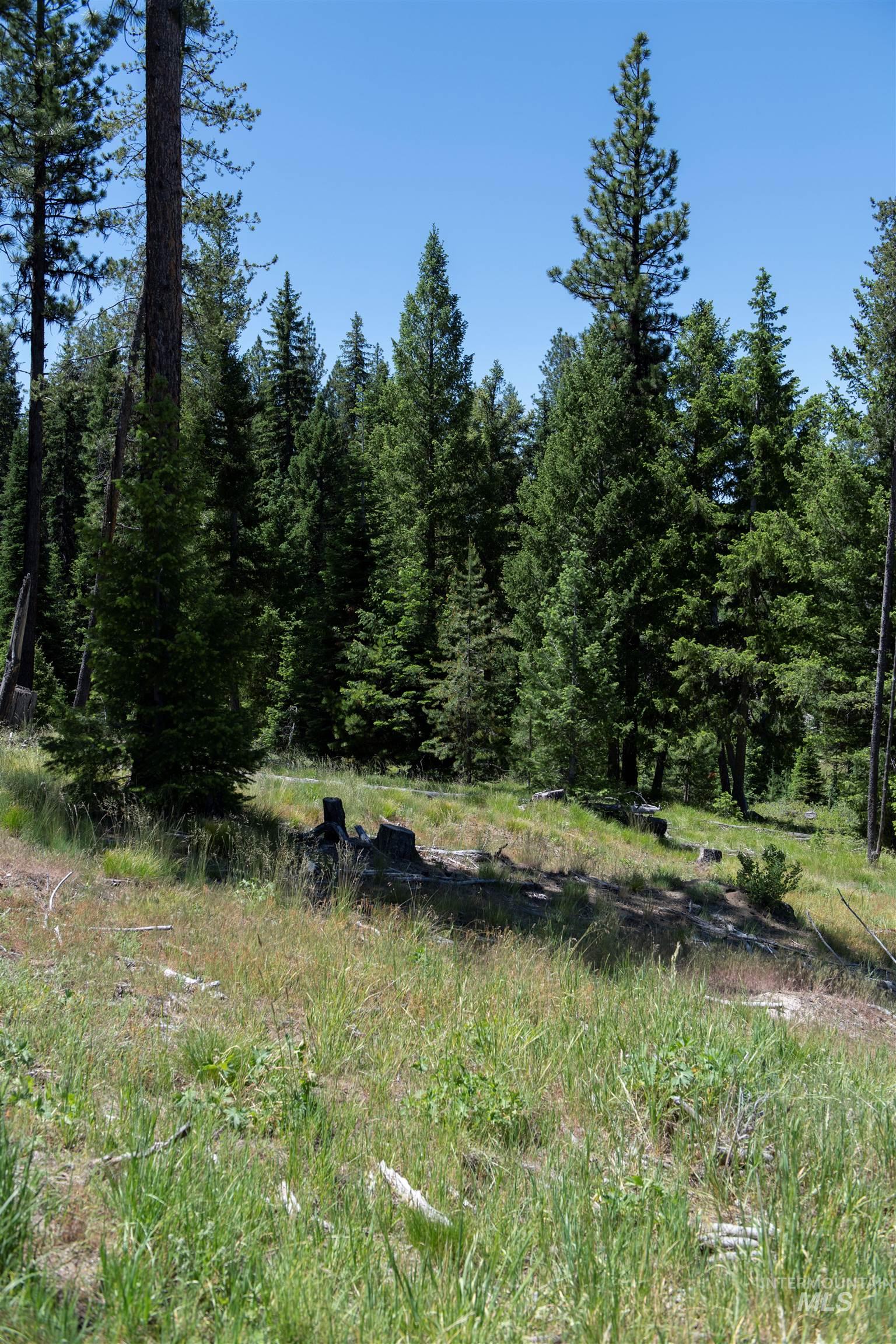 33 Clear Creek Road Cascade, ID 83611 - Photo 6 of 10