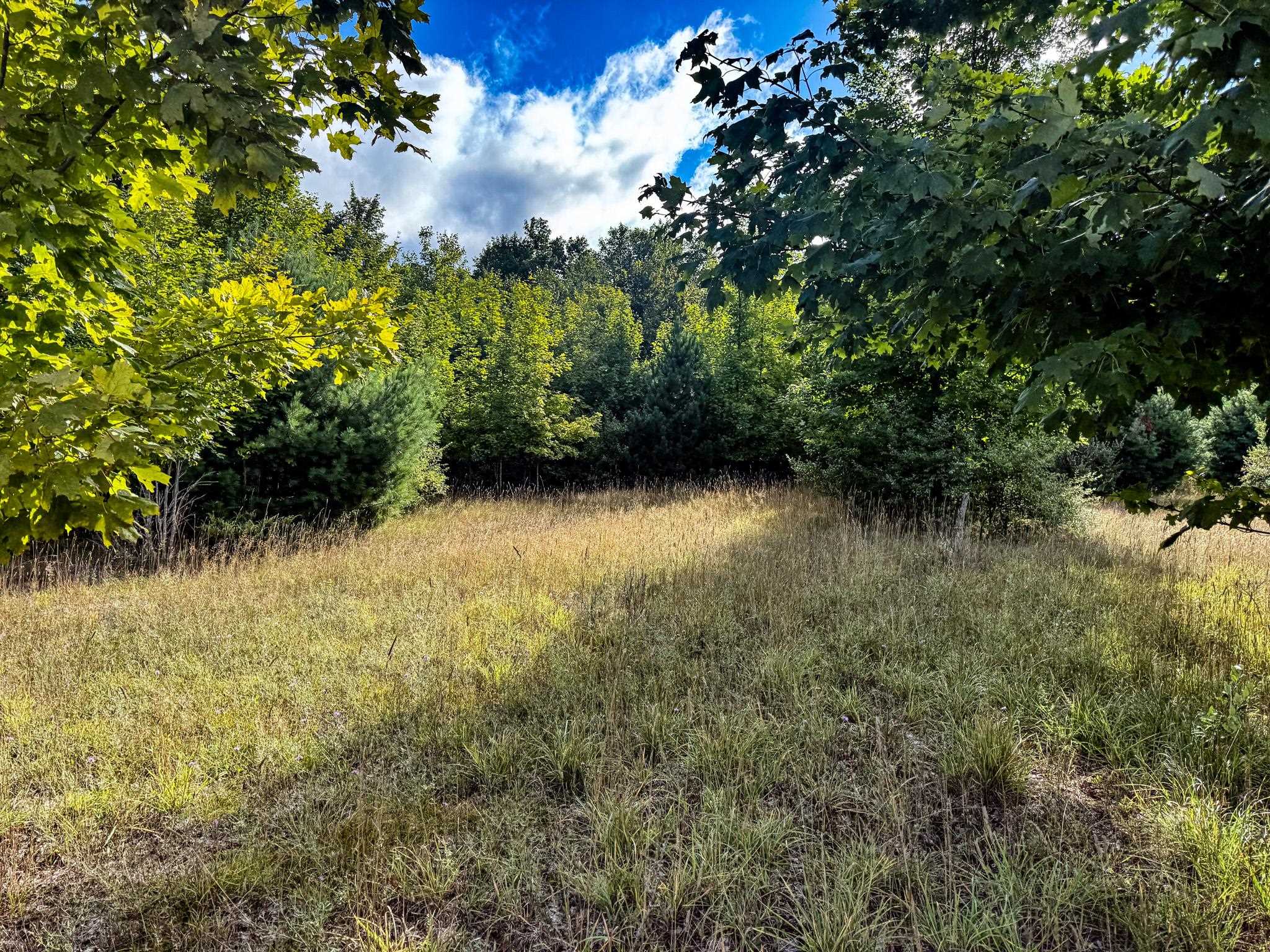 2 East Darga Road Cedar, MI 49621 - Photo 8 of 12 1949896-d8adf333-b84a-42d2-80d5-658438e42891.JPG