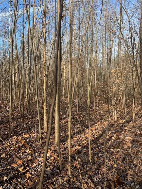 1160 Warf Road Lexington, NC 27292 - Photo 8 of 10 Gallery Image 8