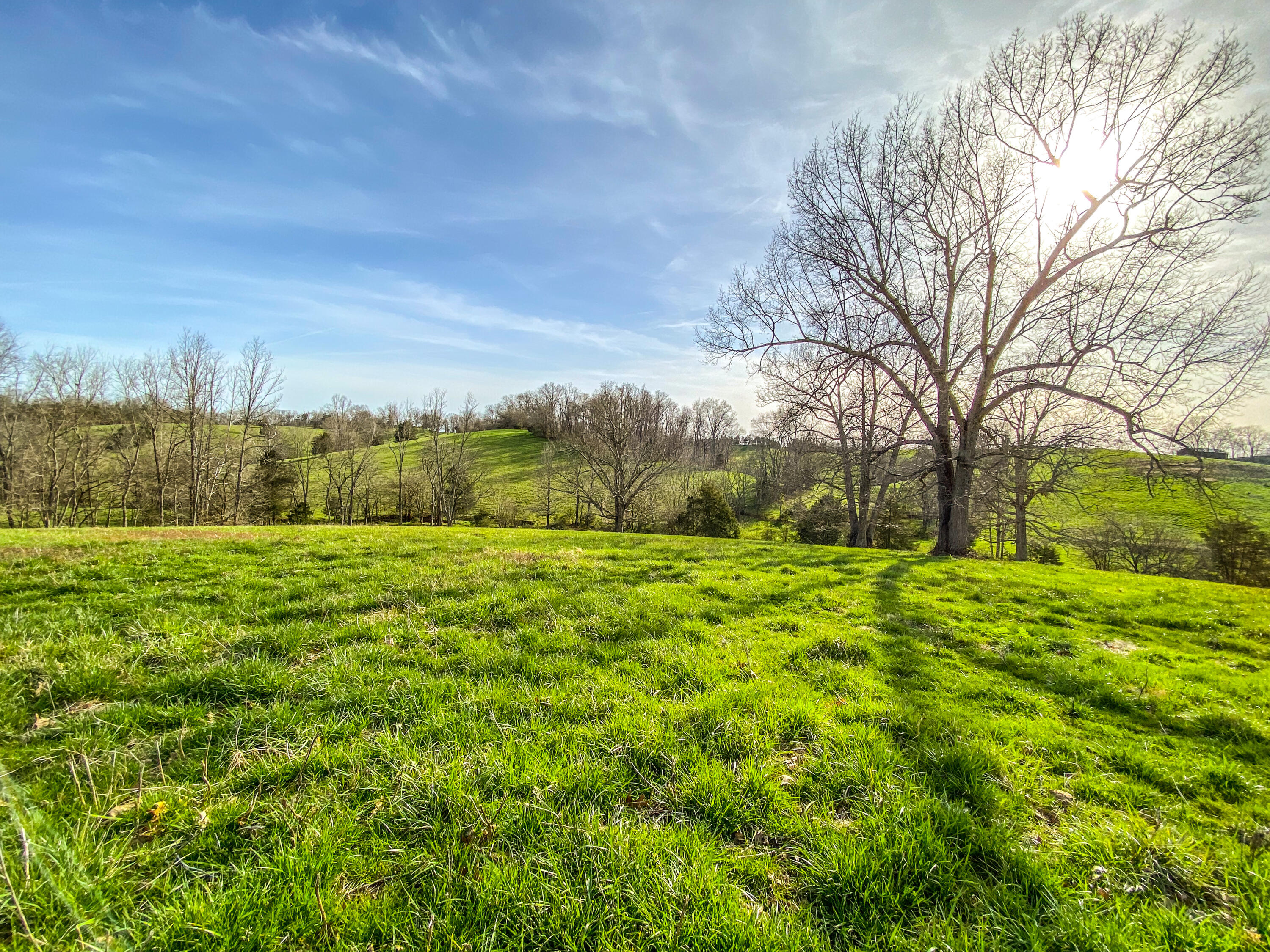 1366 Matthews Road Cynthiana, KY 41031 - Photo 8 of 20 Photo Apr 10, 6 00 36 PM