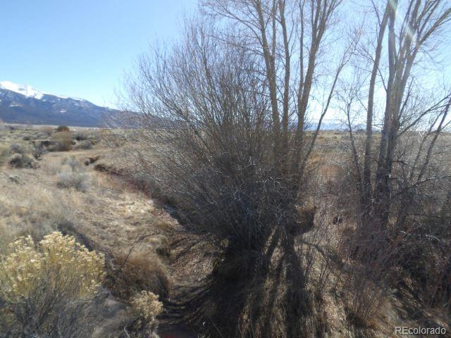 a view of a dry yard with lots of bushes
