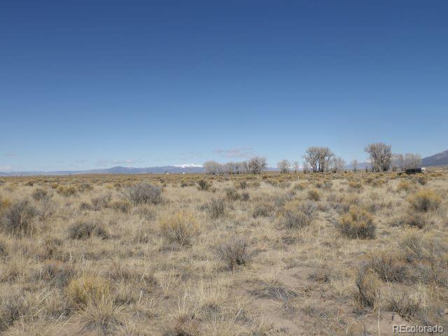 530 Camino Del Rey Crestone, CO 81131 - Photo 11 of 12 a view of tall trees and covered with fog