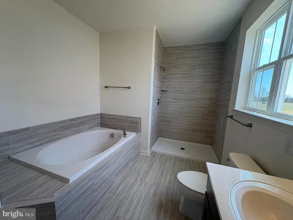 a bathroom with a sink a toilet and a bathtub