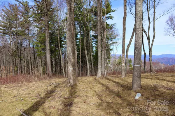 $450,000 | Tbd East Tbd E Garden Trail, Unit 18, Fletcher, NC 28732