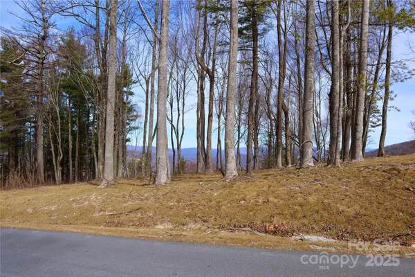 $450,000 | Tbd East Tbd E Garden Trail, Unit 18, Fletcher, NC 28732