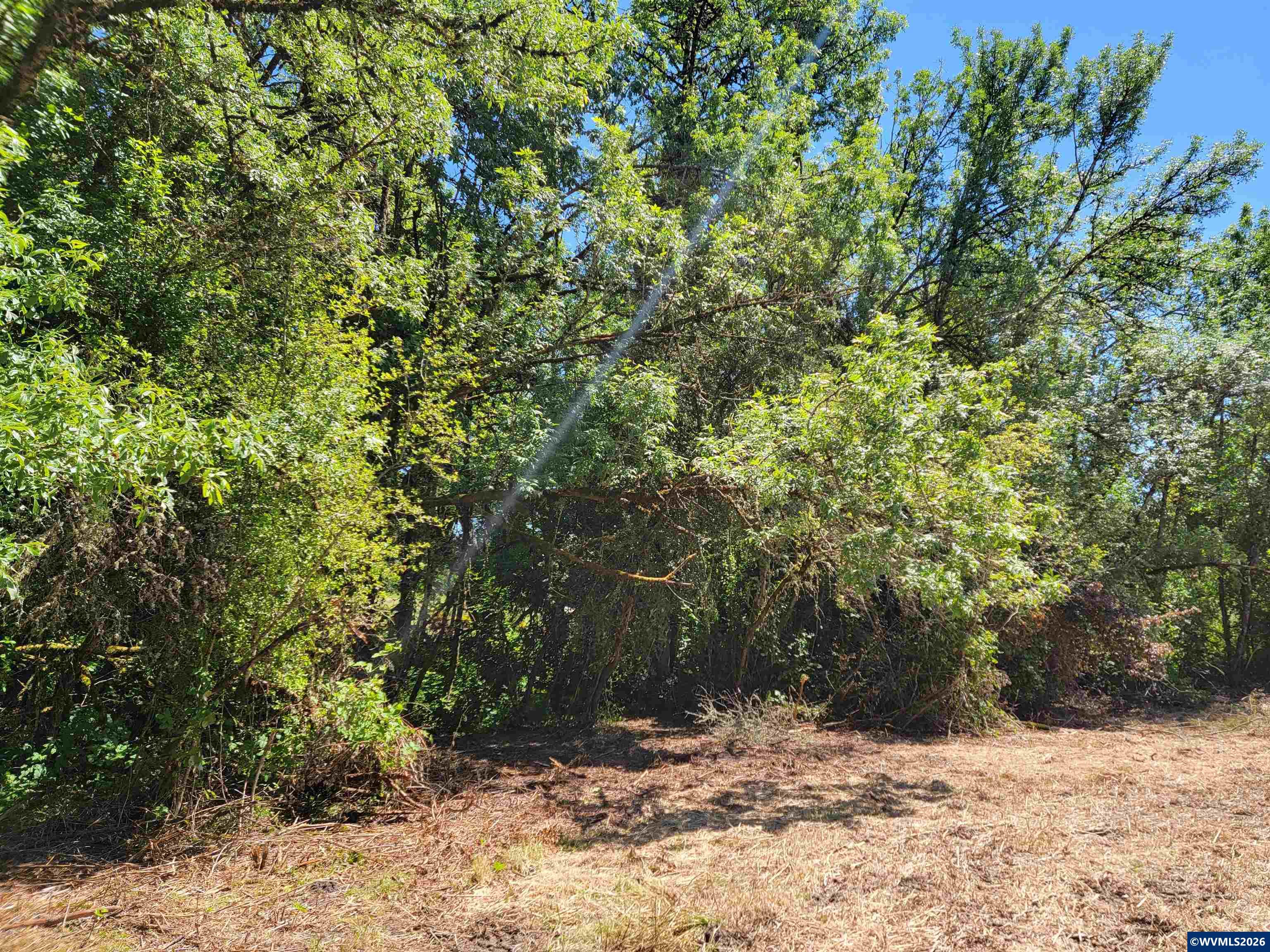 0 Oak Grove Albany, OR 97321 - Photo 9 of 30