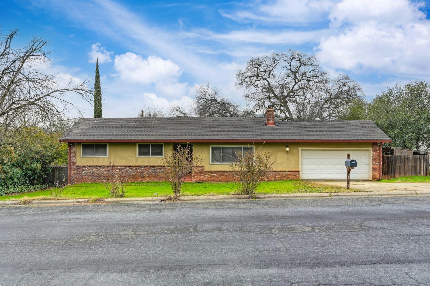 a front view of house with yard and green space