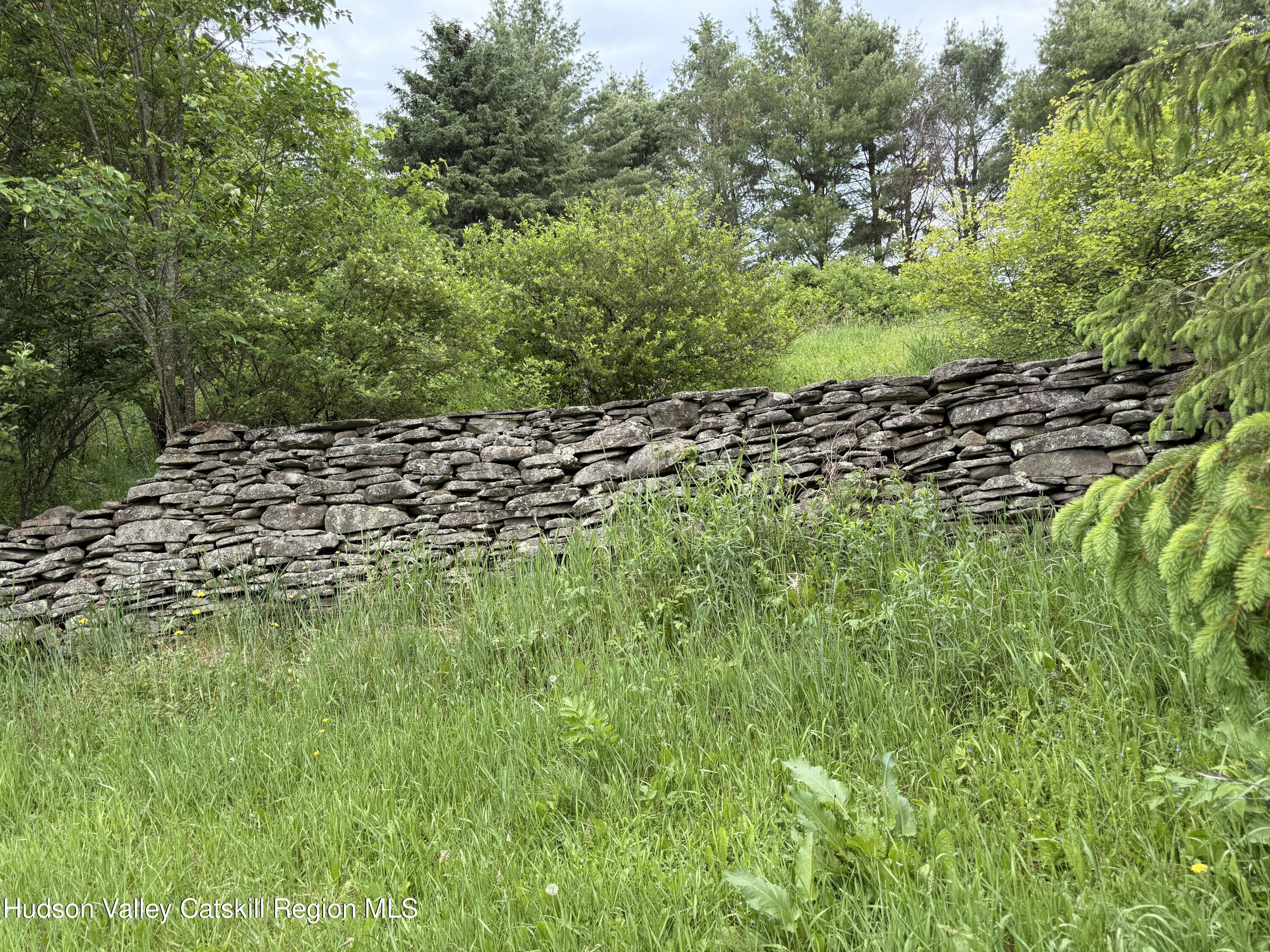 2149 Weaver Hollow Road Andes, NY 12455 - Photo 44 of 47 IMG_1720 3