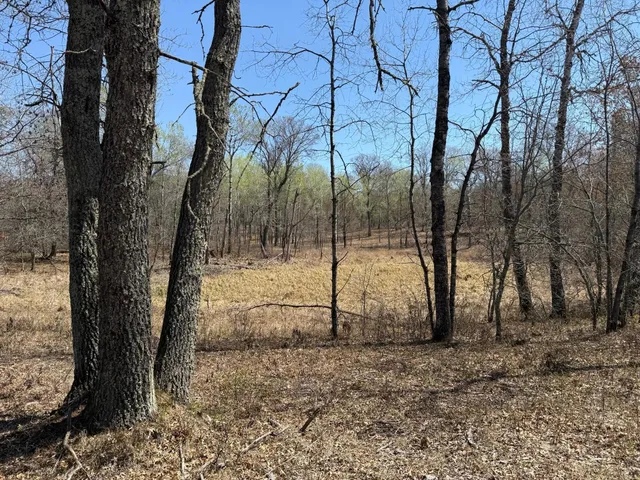 $45,000 | 29941 North Bay Drive, Danbury, WI 54830