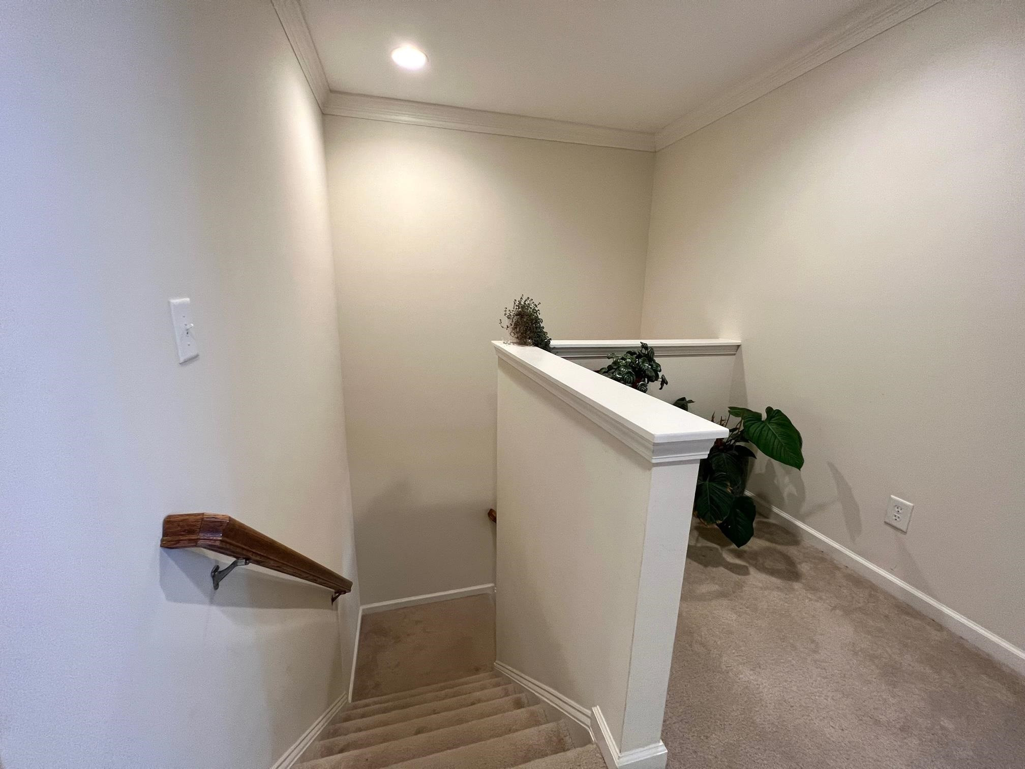 4704 Altha Street Raleigh, NC 27606 - Photo 8 of 15 Photo 8