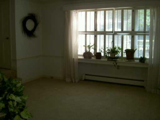 409 Olympia Road Pittsburgh, PA 15211 - Photo 2 of 8 Other.
