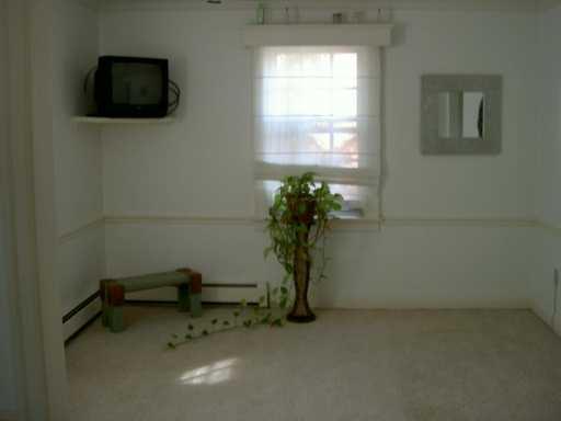 409 Olympia Road Pittsburgh, PA 15211 - Photo 3 of 8 Other.