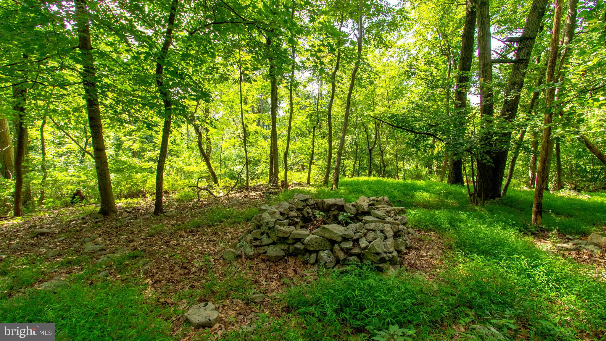 35 Hess Road Boyertown, PA 19512 - Photo 31 of 62 Wooded area of property