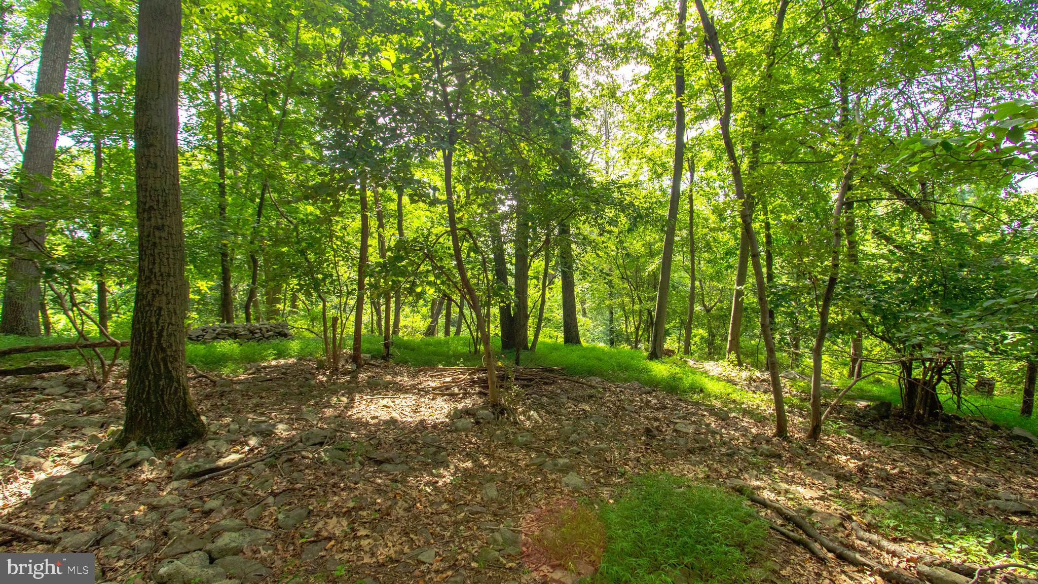 35 Hess Road Boyertown, PA 19512 - Photo 32 of 62 Wooded area of property