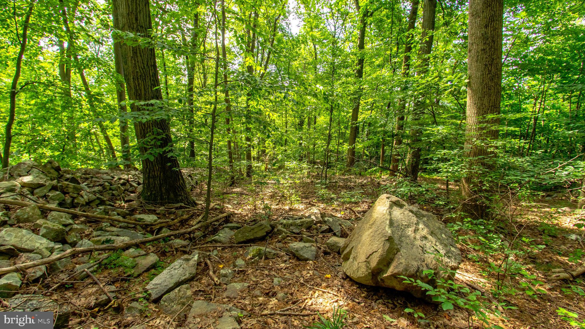 35 Hess Road Boyertown, PA 19512 - Photo 33 of 62 Wooded area of property