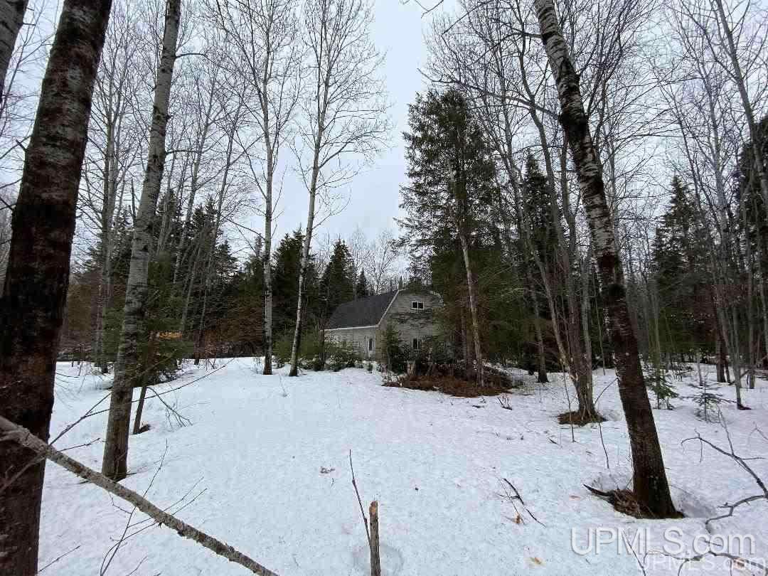 Tbd Degarmo Road Trenary, MI 49891 - Photo 26 of 34