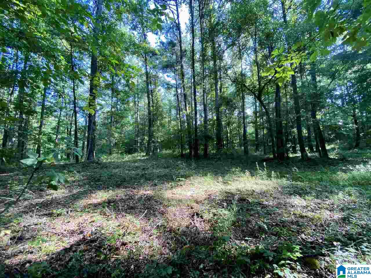 1 River Road, Unit 1 Quinton, AL 35130 - Photo 23 of 30