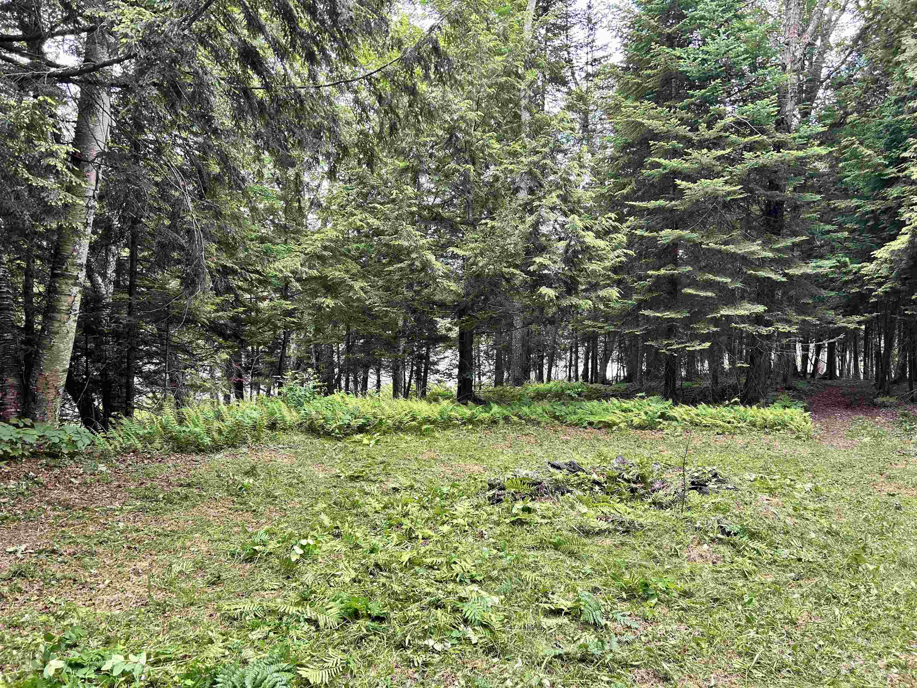 1667 East Albany Road Barton, VT 05875 - Photo 7 of 20