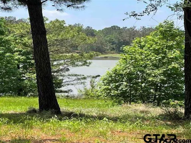 $159,000 | Lot 21 Acr 453, Montalba, TX 75853