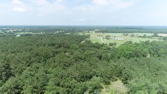 $159,000 | Lot 21 Acr 453, Montalba, TX 75853