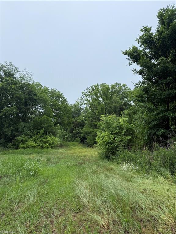 0 Pine Ridge Road China Grove, NC 28023 - Photo 4 of 4