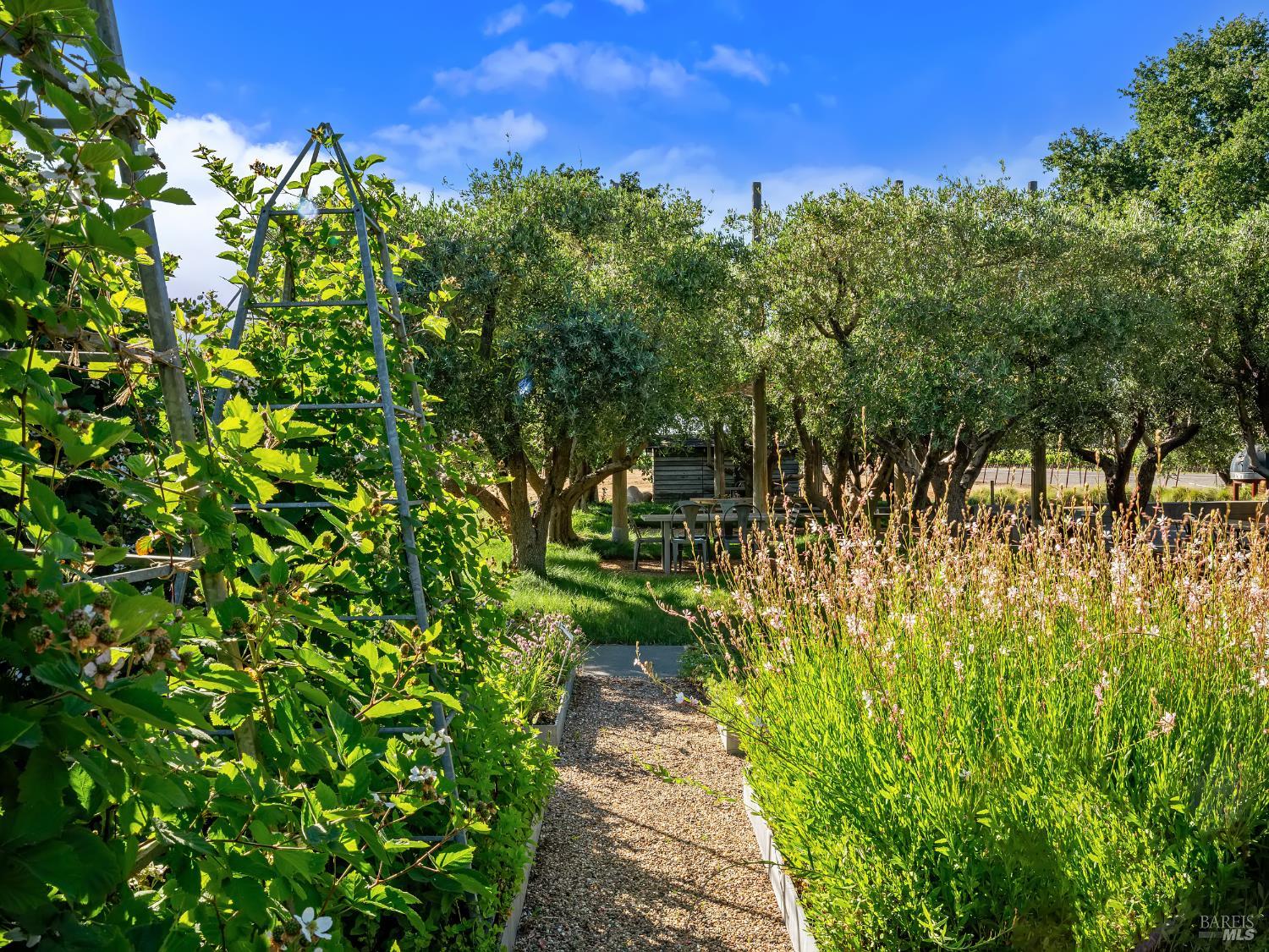 3487 Alexander Valley Road Geyserville, CA 95441 - Photo 41 of 54