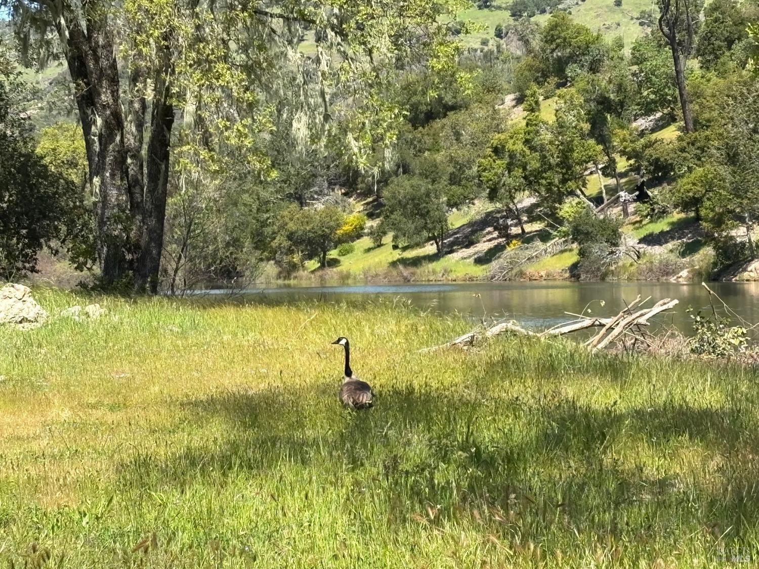 1218 Bennett Lane Calistoga, CA 94515 - Photo 9 of 39