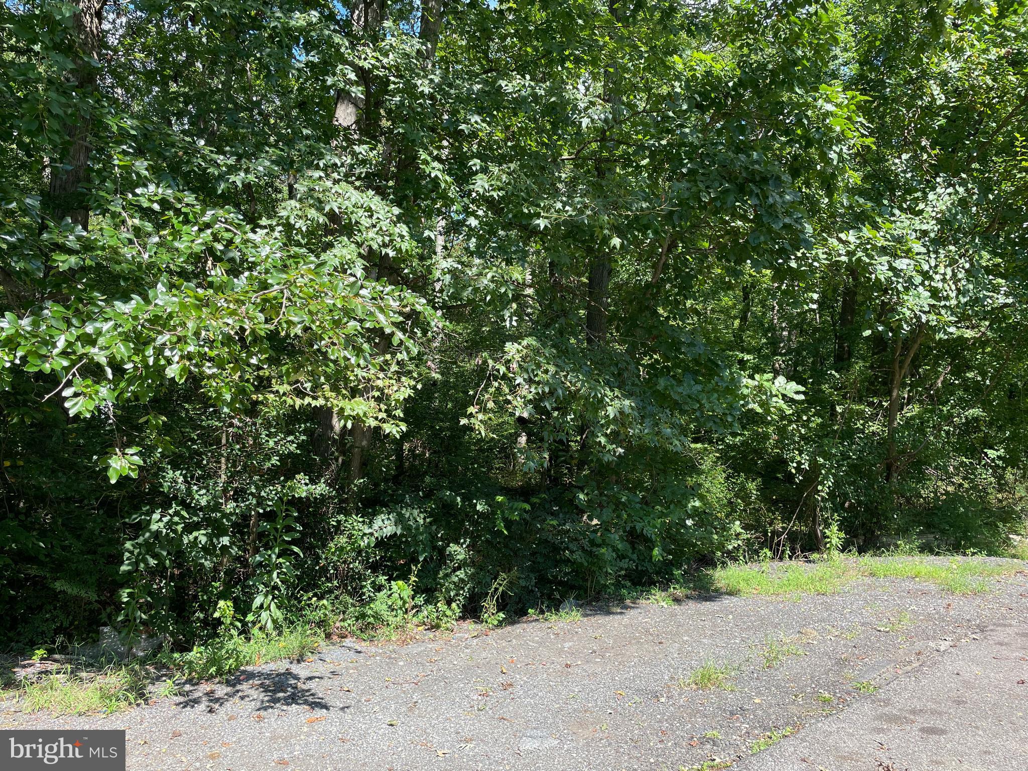 Presley Road Lanham, MD 20706 - Photo 3 of 15 Gallery Image 3