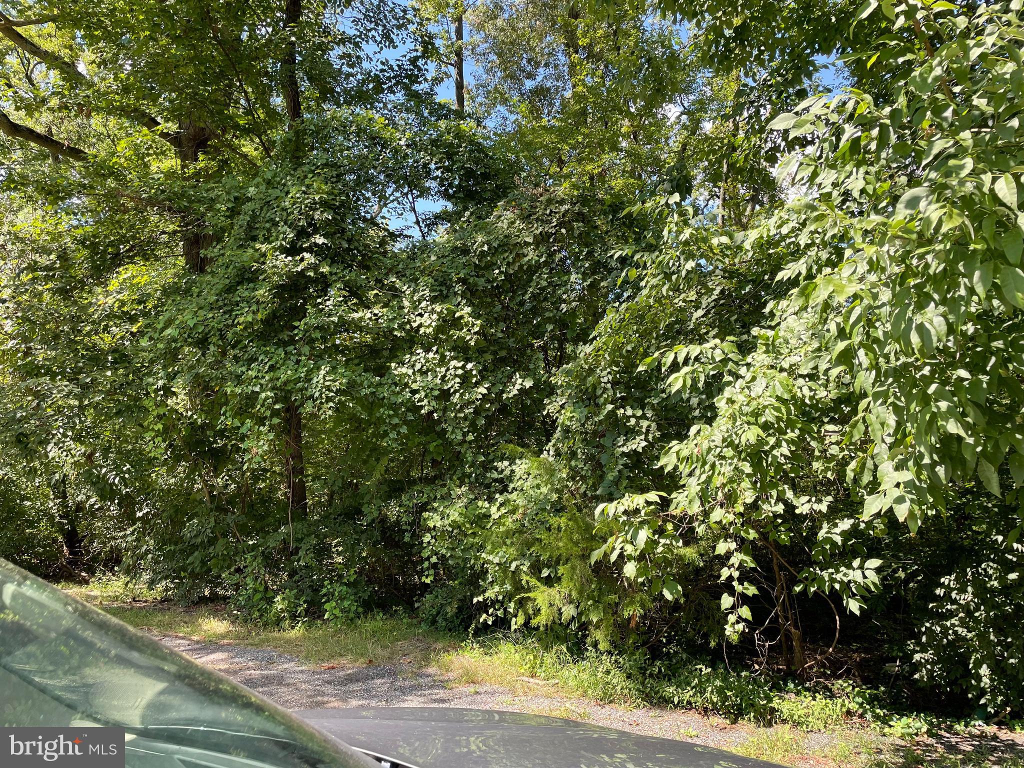 Presley Road Lanham, MD 20706 - Photo 4 of 15 Gallery Image 4