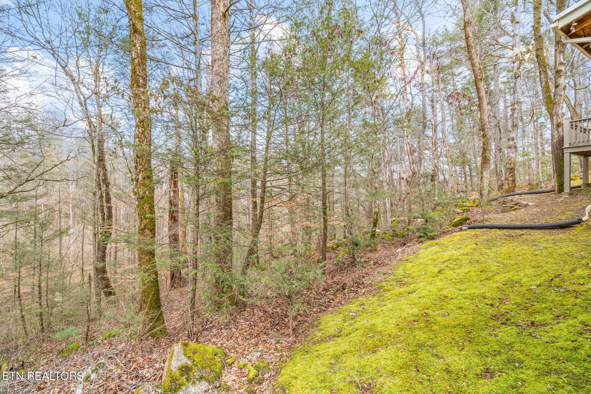 151 Sequoyah Village Road Townsend, TN 37882 - Photo 37 of 60